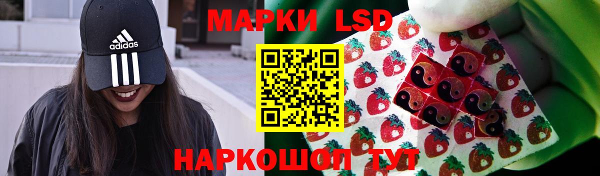 Галлюциногенные грибы Мурманск