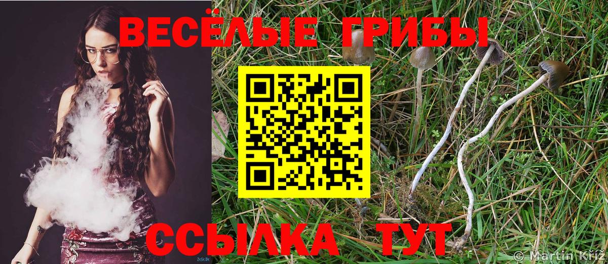 Псилоцибиновые грибы Psilocybe  Вход с VPN  Мурманск  Псилоцибиновые грибы Cubensis 