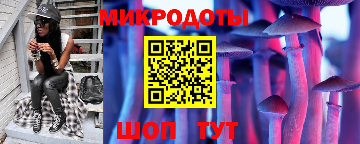 Псилоцибиновые грибы прущие грибы Мурманск